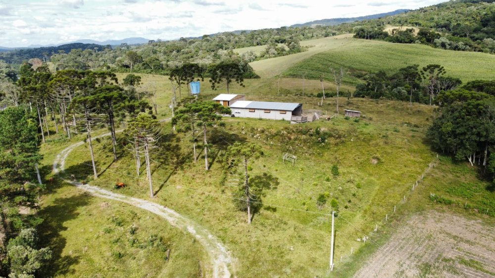 Ch�cara - Venda - Interior - Bocaina do Sul - SC