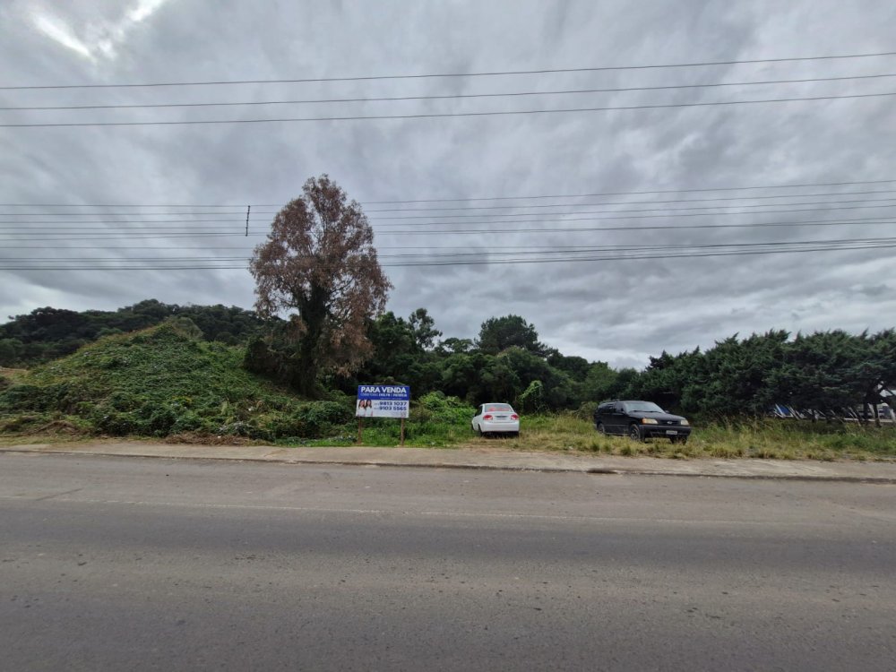 Terreno - Venda - Frei Rog�rio - Lages - SC