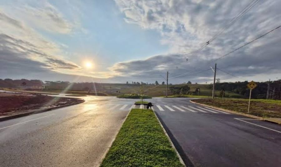 Terreno - Venda - Vila Maria - Lages - SC