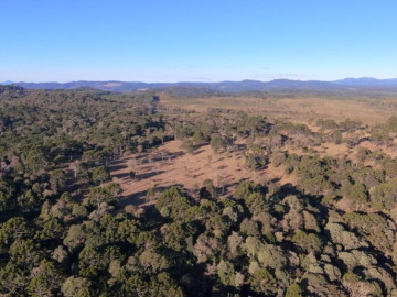 Fazenda com 170 hectares
